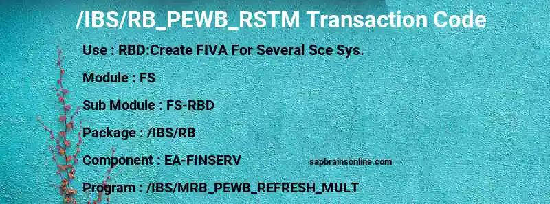 SAP /IBS/RB_PEWB_RSTM transaction code