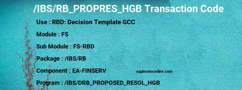 SAP /IBS/RB_PROPRES_HGB transaction code
