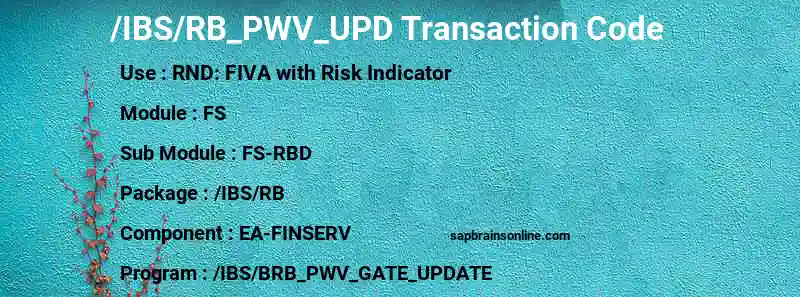 SAP /IBS/RB_PWV_UPD transaction code