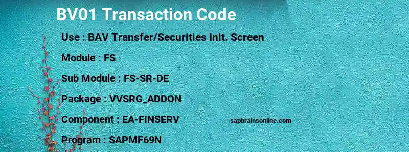 SAP BV01 transaction code
