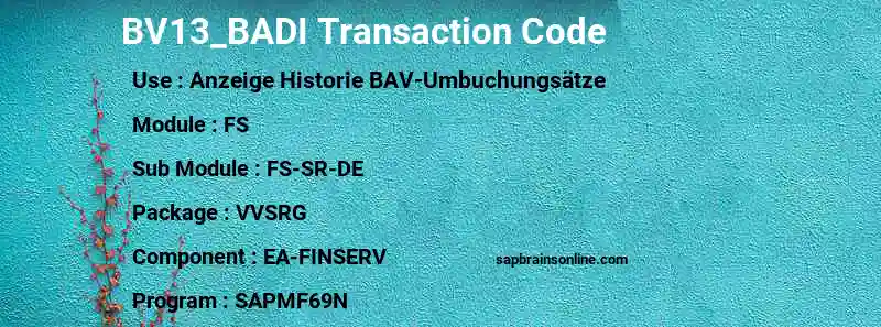 SAP BV13_BADI transaction code