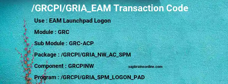 SAP /GRCPI/GRIA_EAM transaction code