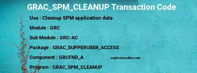 SAP GRAC_SPM_CLEANUP transaction code