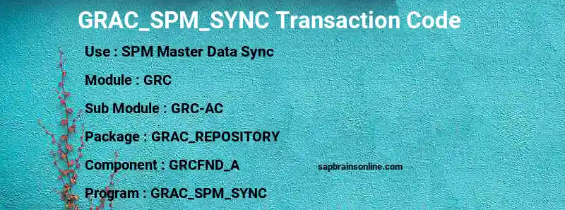 SAP GRAC_SPM_SYNC transaction code