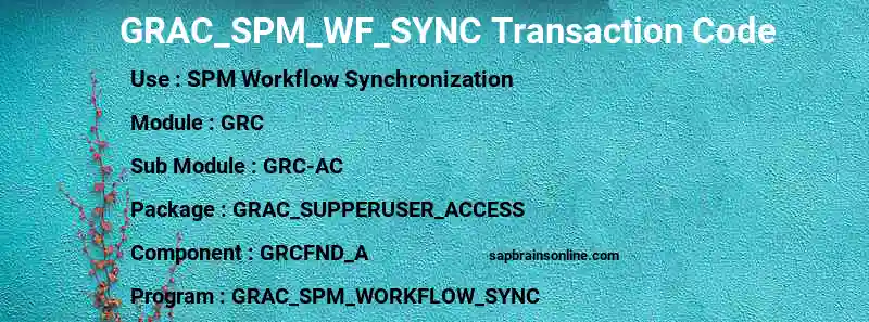 SAP GRAC_SPM_WF_SYNC transaction code