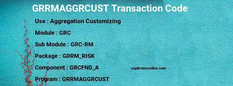 SAP GRRMAGGRCUST transaction code