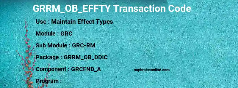 SAP GRRM_OB_EFFTY transaction code