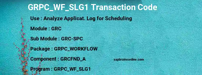 SAP GRPC_WF_SLG1 transaction code