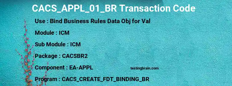 SAP CACS_APPL_01_BR transaction code