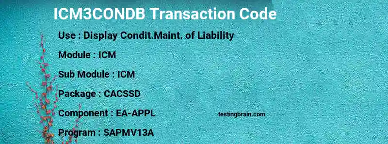 SAP ICM3CONDB transaction code