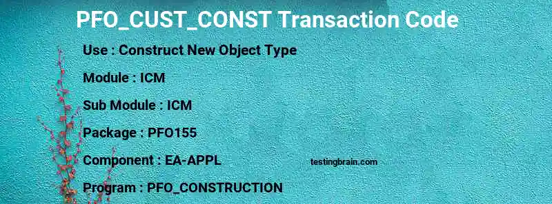 SAP PFO_CUST_CONST transaction code