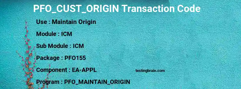 SAP PFO_CUST_ORIGIN transaction code