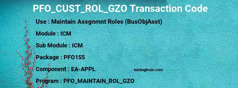 SAP PFO_CUST_ROL_GZO transaction code