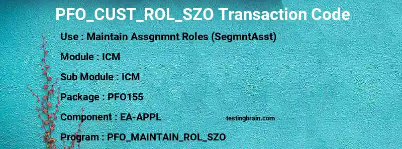 SAP PFO_CUST_ROL_SZO transaction code