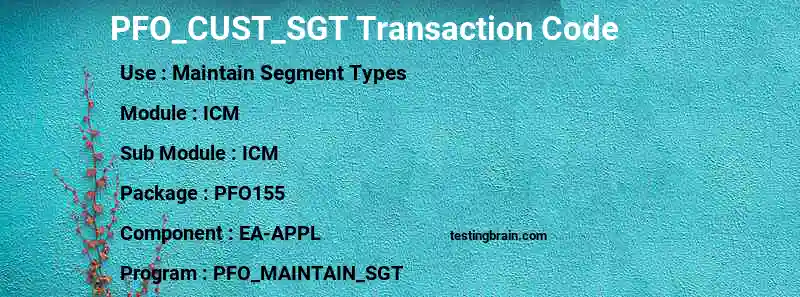SAP PFO_CUST_SGT transaction code