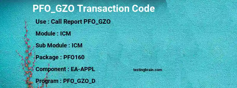 SAP PFO_GZO transaction code