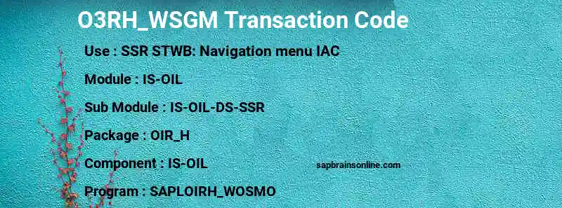 SAP O3RH_WSGM transaction code