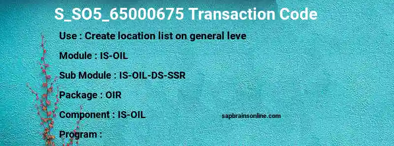 SAP S_SO5_65000675 transaction code