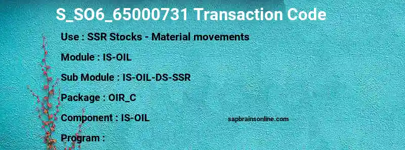 SAP S_SO6_65000731 transaction code