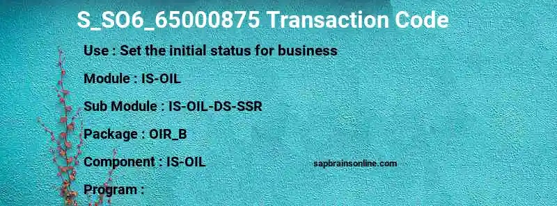 SAP S_SO6_65000875 transaction code