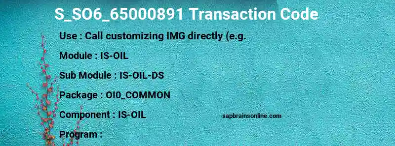 SAP S_SO6_65000891 transaction code