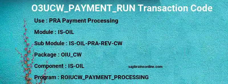 SAP O3UCW_PAYMENT_RUN transaction code