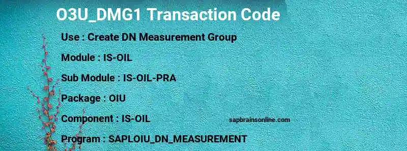 SAP O3U_DMG1 transaction code