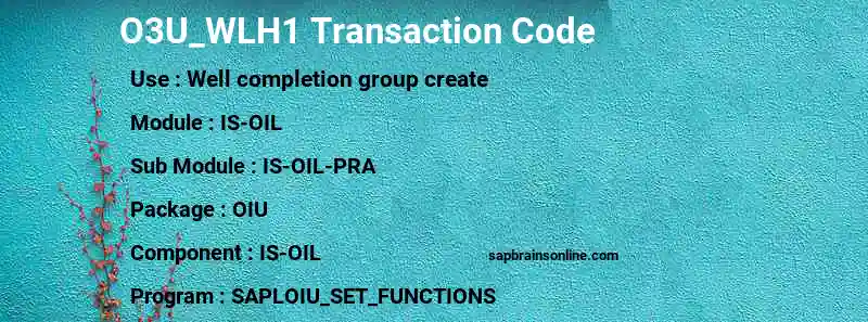 SAP O3U_WLH1 transaction code