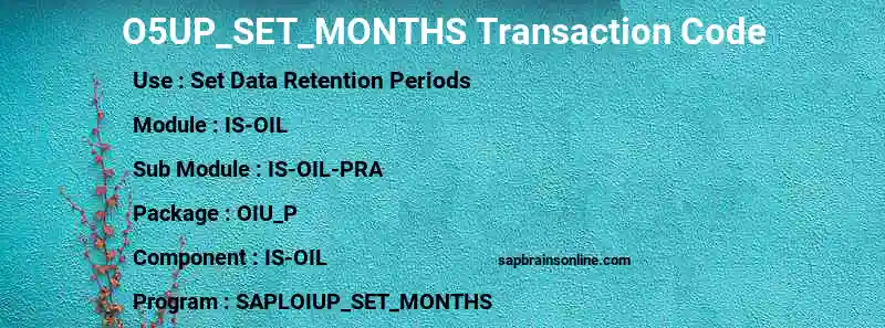 SAP O5UP_SET_MONTHS transaction code