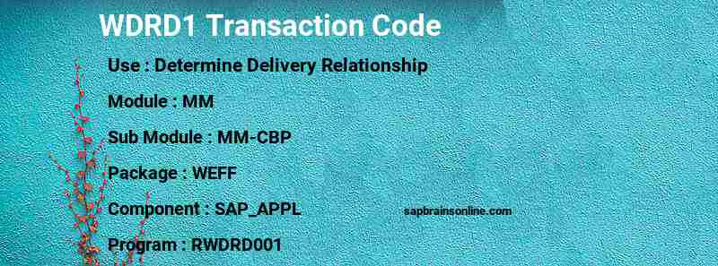 SAP WDRD1 transaction code