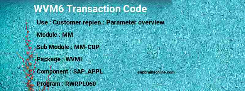 SAP WVM6 transaction code
