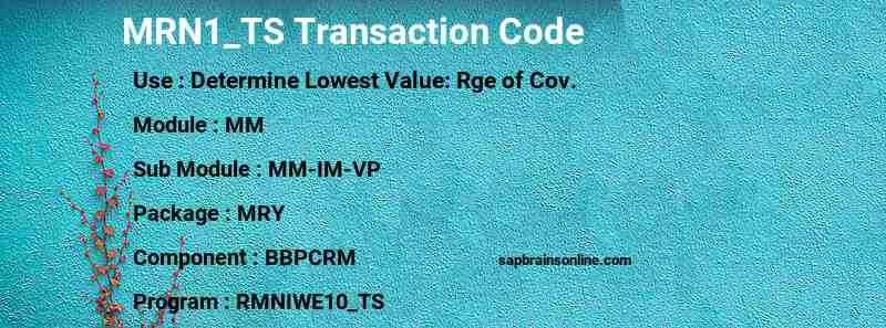 SAP MRN1_TS transaction code