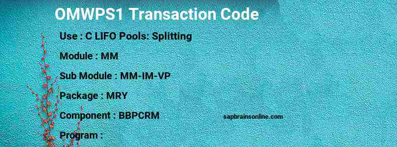SAP OMWPS1 transaction code