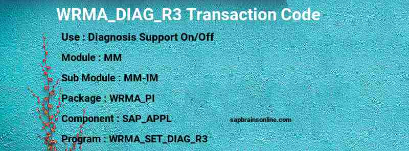 SAP WRMA_DIAG_R3 transaction code