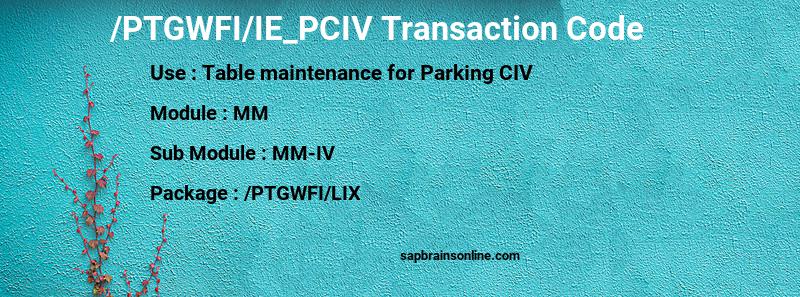 SAP /PTGWFI/IE_PCIV transaction code