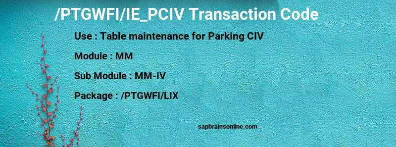 SAP /PTGWFI/IE_PCIV transaction code