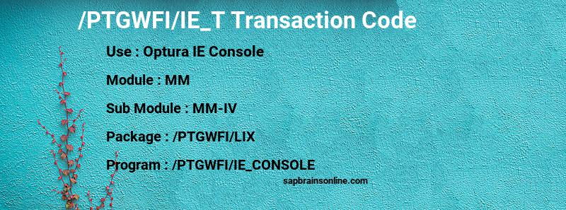 SAP /PTGWFI/IE_T transaction code