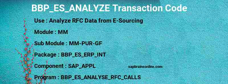 SAP BBP_ES_ANALYZE transaction code