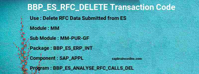 SAP BBP_ES_RFC_DELETE transaction code
