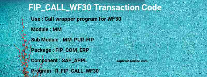 SAP FIP_CALL_WF30 transaction code