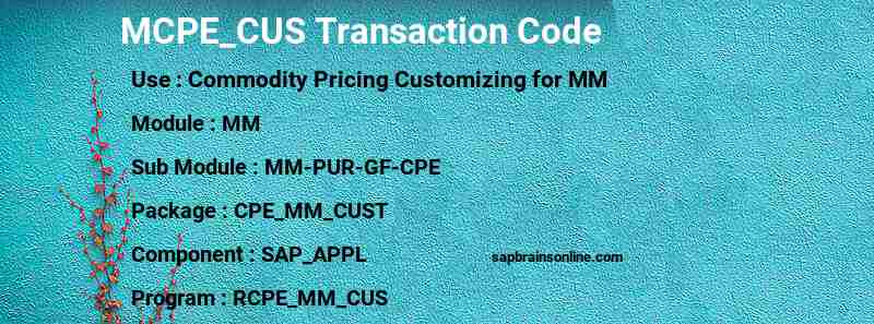 SAP MCPE_CUS transaction code
