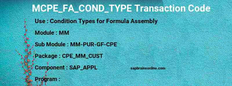 SAP MCPE_FA_COND_TYPE transaction code