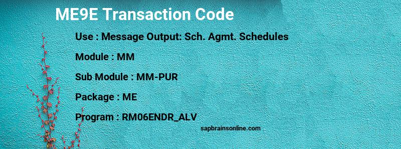 SAP ME9E transaction code