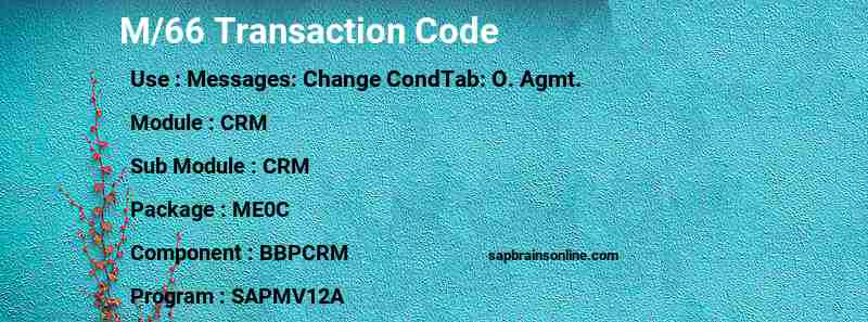 SAP M/66 transaction code