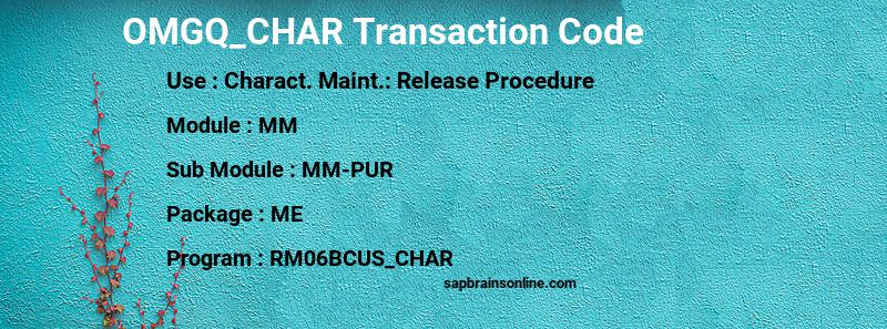 SAP OMGQ_CHAR transaction code