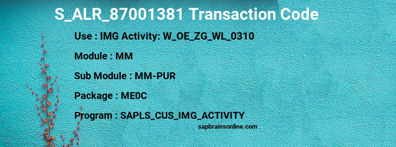 SAP S_ALR_87001381 transaction code