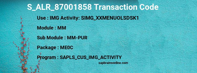 SAP S_ALR_87001858 transaction code