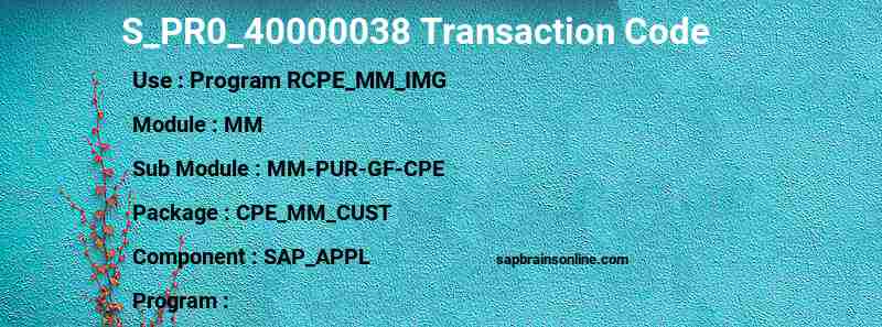 SAP S_PR0_40000038 transaction code