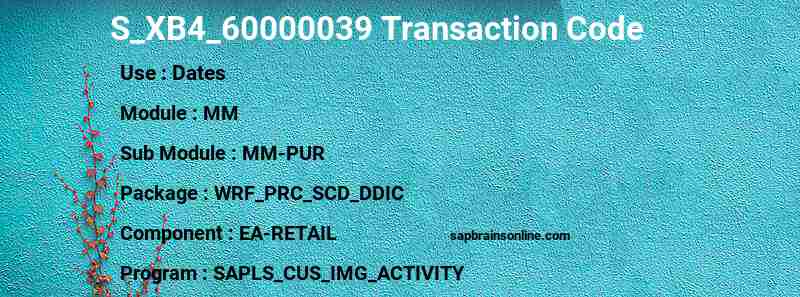 SAP S_XB4_60000039 transaction code