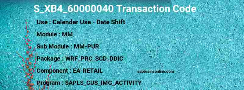 SAP S_XB4_60000040 transaction code